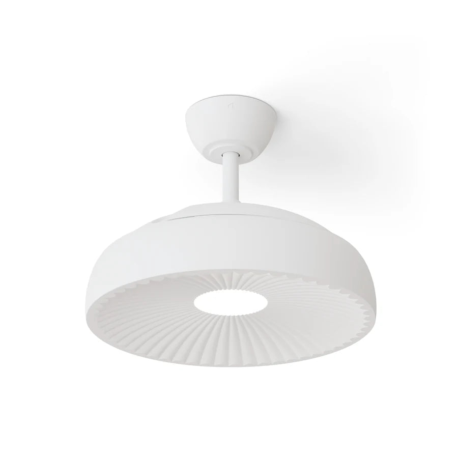 victoria s con luz 001 — Blanco / Blanco