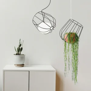 lampara-de-suspension-light-plant-container-plussmi-ifdesign-store-001