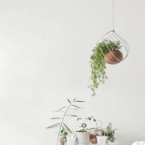 lampara-de-suspension-light-plant-container-plussmi-ifdesign-store-003