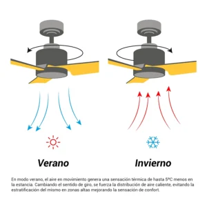 ventilador-de-techo-carla-s-sulion-030